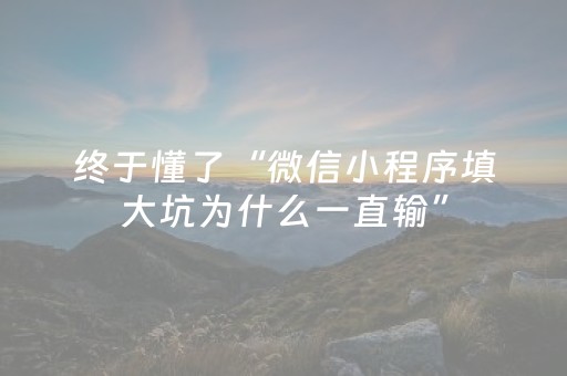 终于懂了“微信小程序填大坑为什么一直输”（是否能开挂)