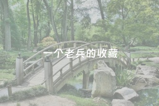 一个老兵的收藏