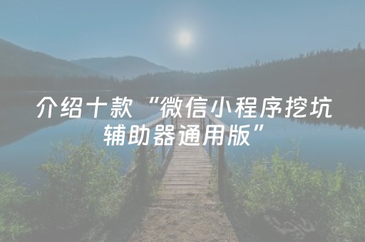 介绍十款“微信小程序挖坑辅助器通用版”（规律确实有挂)