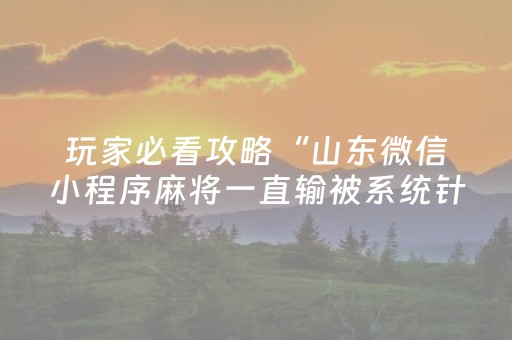玩家必看攻略“山东微信小程序麻将一直输被系统针对了吗”（软挂神器)