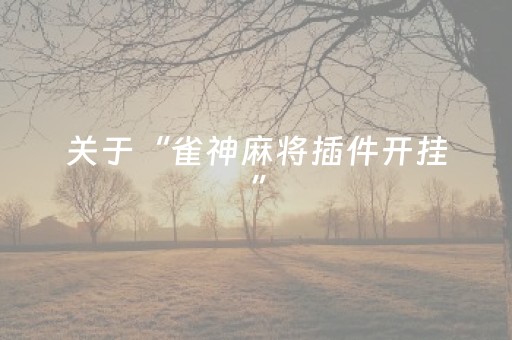 关于“雀神麻将插件开挂”（控牌器)