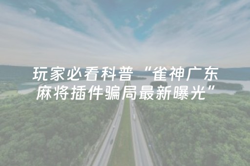 玩家必看科普“雀神广东麻将插件骗局最新曝光”（提高胜率软件)