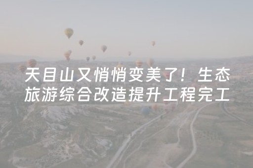 必备攻略“万能麻将开挂”（为什么有人一直赢)