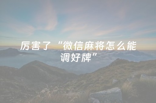 厉害了“微信麻将怎么能调好牌”（为什么有人一直赢)
