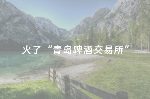 安装程序教程“微小程序麻将助赢神器”（必赢神器)