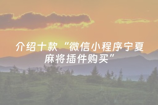 介绍十款“微信小程序宁夏麻将插件购买”（神器最新免费)