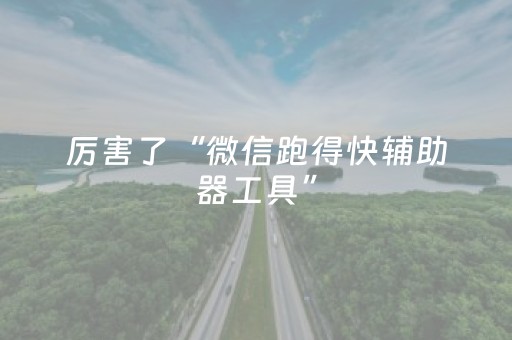 厉害了“微信跑得快辅助器工具”（开挂辅助插件)