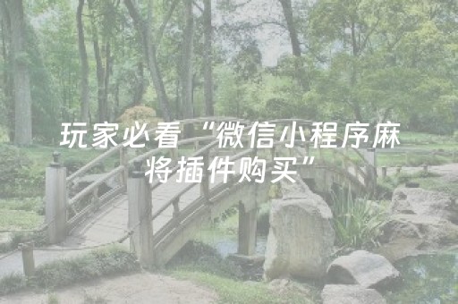 玩家必看“微信小程序麻将插件购买”（开挂辅助插件)