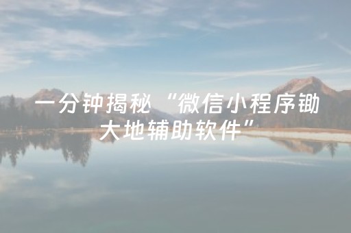 一分钟揭秘“微信小程序锄大地辅助软件”（辅助器下载)