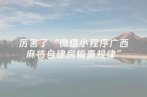 厉害了“微信小程序广西麻将自建房输赢规律”（免费专用神器)
