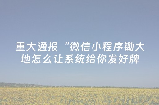 重大通报“微信小程序锄大地怎么让系统给你发好牌”（攻略插件)