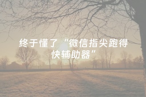 终于懂了“微信指尖跑得快辅助器”（辅助器通用版)