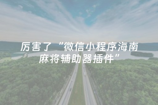 厉害了“微信小程序海南麻将辅助器插件”（技巧和打好牌方法)