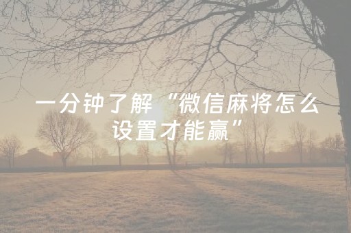 玩家必看攻略“微信财神十三张怎么赢得多”（软挂神器)