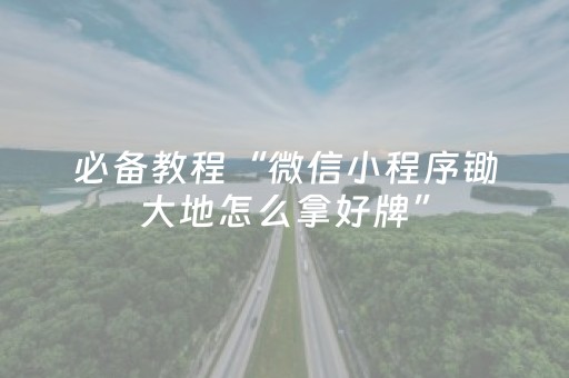 必备教程“微信小程序锄大地怎么拿好牌”（插件开挂免费AI)