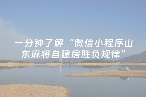 一分钟了解“微信小程序山东麻将自建房胜负规律”（提高胜率技巧)