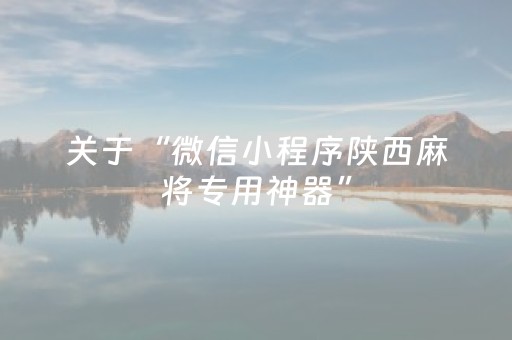 关于“微信小程序陕西麻将专用神器”（软件出售)