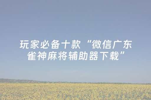玩家必备十款“微信广东雀神麻将辅助器下载”（胜率到哪调)