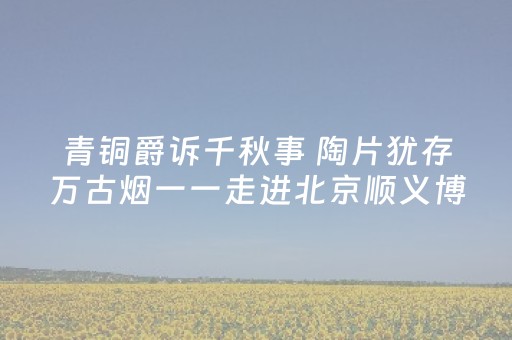 玩家必备十款“微信跑得快辅助器工具”（怎么才会赢)
