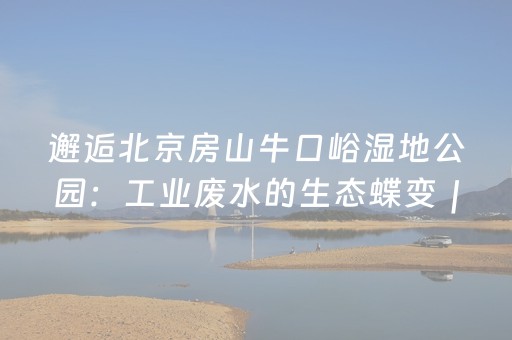 我来教大家“微信麻将怎么增加胜率”（怎么增加胜率)
