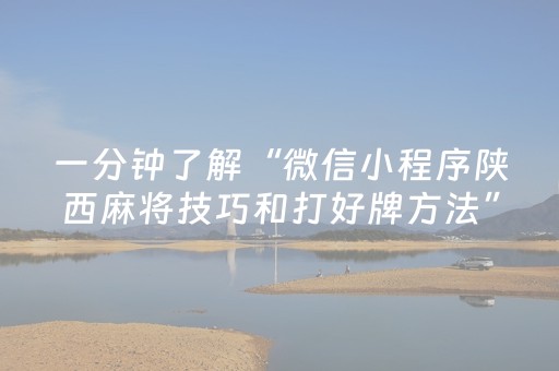 一分钟了解“微信小程序陕西麻将技巧和打好牌方法”（专用神器下载)