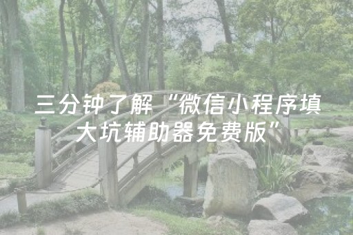 三分钟了解“微信小程序填大坑辅助器免费版”（必赢神器辅助器)