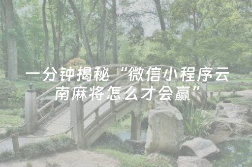一分钟揭秘“微信小程序云南麻将怎么才会赢”（发牌有什么规律吗)