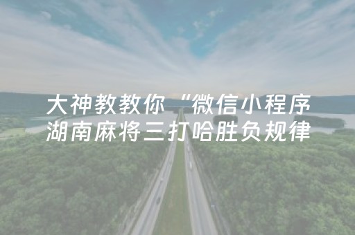 大神教教你“微信小程序湖南麻将三打哈胜负规律”（外辅工具)