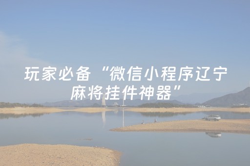 玩家必备“微信小程序辽宁麻将挂件神器”（软件出售)
