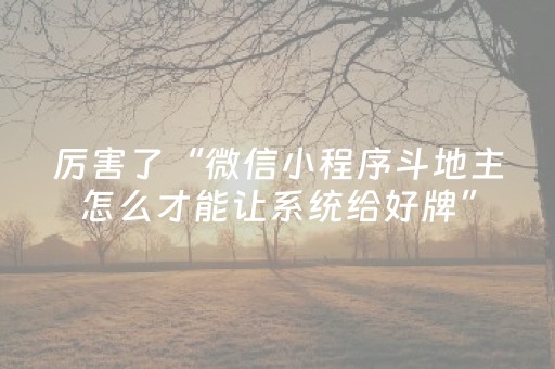 厉害了“微信小程序斗地主怎么才能让系统给好牌”（透明挂辅助器)