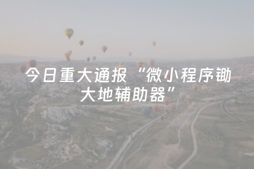 今日重大通报“微小程序锄大地辅助器”（软件出售)