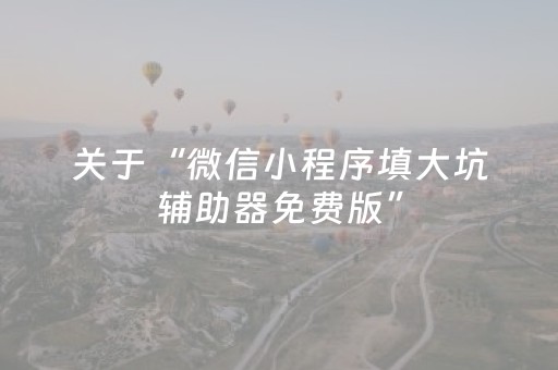 关于“微信小程序填大坑辅助器免费版”（神器最新免费)