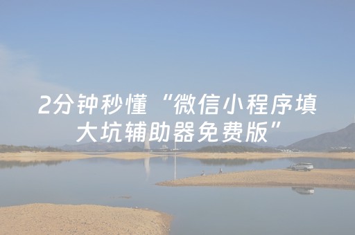 2分钟秒懂“微信小程序填大坑辅助器免费版”（有什么规律)