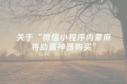 关于“微信小程序内蒙麻将助赢神器购买”（外辅工具)