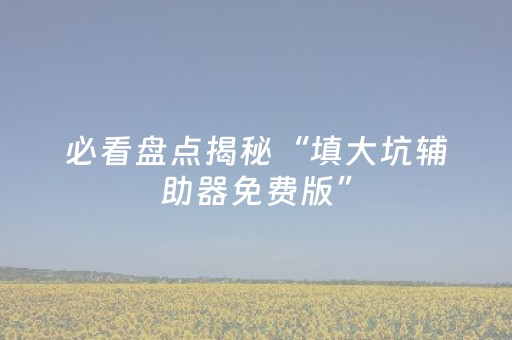必看盘点揭秘“填大坑辅助器免费版”（可以设置输赢吗)