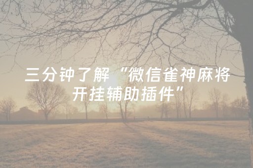 三分钟了解“微信雀神麻将开挂辅助插件”（专用神器下载)