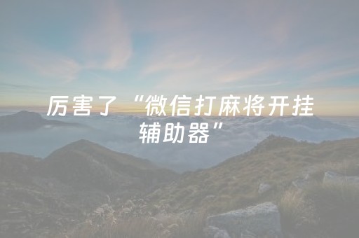 厉害了“微信打麻将开挂辅助器”（软件出售)
