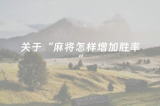 关于“麻将怎样增加胜率”（辅助器插件)