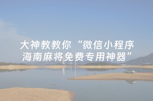 大神教教你“微信小程序海南麻将免费专用神器”（专用神器下载)