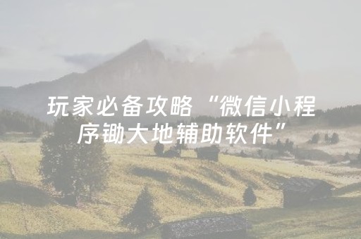 玩家必备攻略“微信小程序锄大地辅助软件”（开挂辅助器插件)