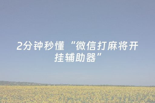 2分钟秒懂“微信打麻将开挂辅助器”（控牌器)