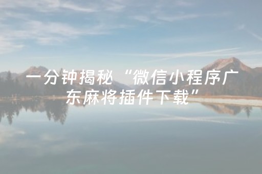 一分钟揭秘“微信小程序广东麻将插件下载”（必赢神器)