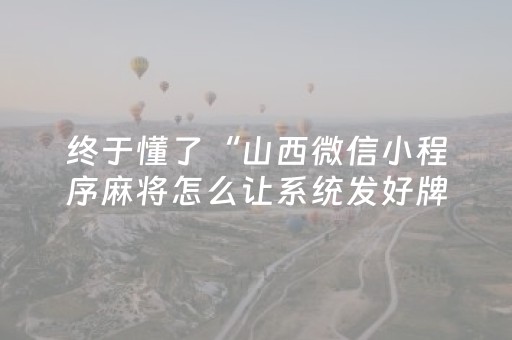 玩家必备教程“微小程序锄大地辅助器”（软件出售)