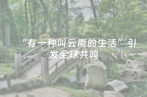 分享玩家攻略“微小程序卡五星辅助器”（规律确实有挂)