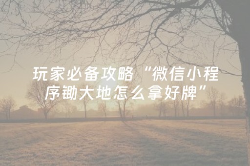 玩家必备攻略“微信小程序锄大地怎么拿好牌”（赢的技巧规律)