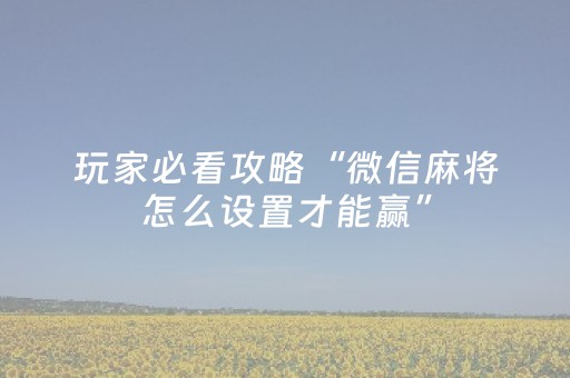 玩家必看攻略“微信麻将怎么设置才能赢”（AI辅助胡牌规则)