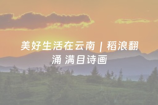 终于懂了“微信麻将怎么设置才能赢”（挂件神器)