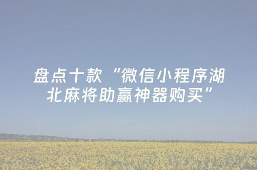 盘点十款“微信小程序湖北麻将助赢神器购买”（专用神器)
