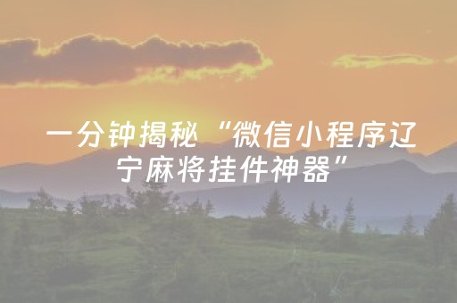 一分钟揭秘“微信小程序辽宁麻将挂件神器”（透明器教程)