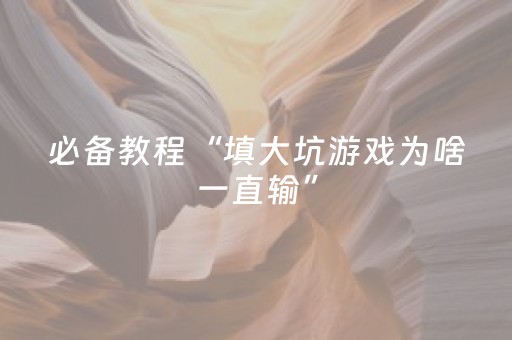 必备教程“填大坑游戏为啥一直输”（软件出售)